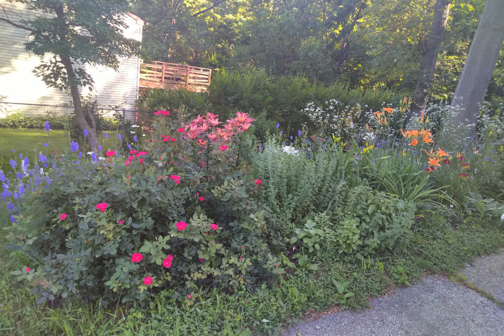 A vibrant garden with pink and orange flowers beside a pathway.