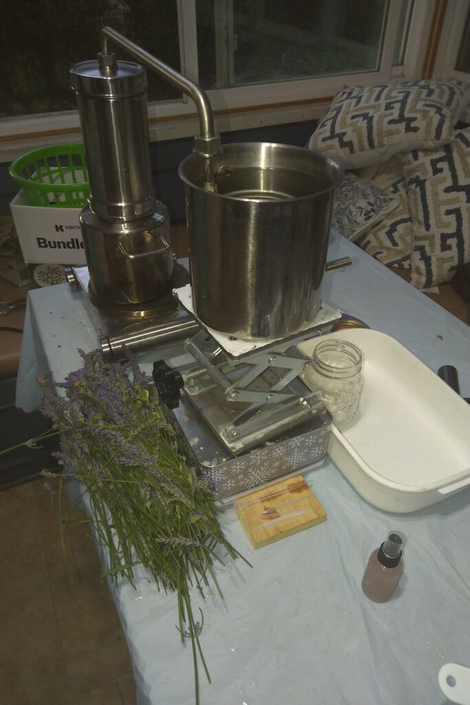 A collection of kitchen tools and herbs on a table.