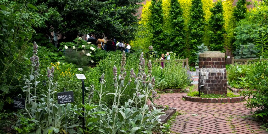 A serene garden path surrounded by lush greenery and flowering plants.