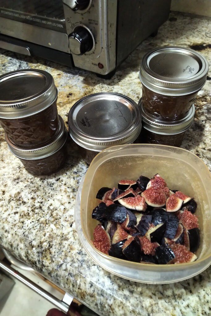 Containers filled with dried and fresh figs on a kitchen counter.