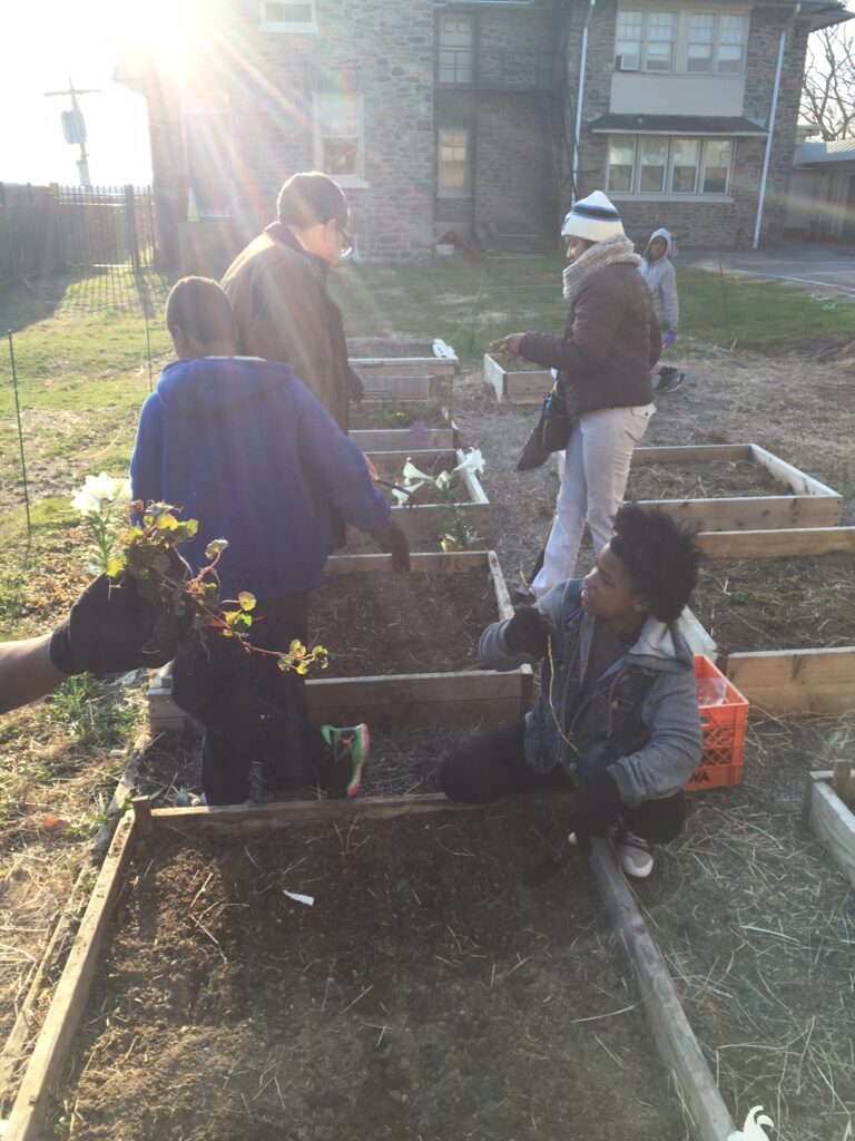 People working together in a community garden during daylight.