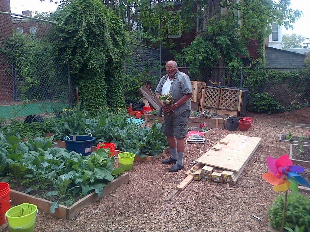 Man gardening and watering plants in a backyard with wood and bricks nearby.