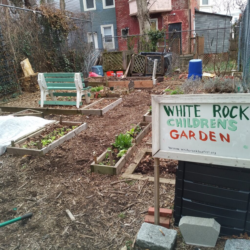 Community garden with wooden planters and a sign for White Rock Children's Garden.