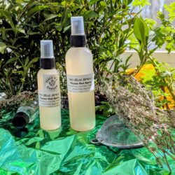 Thyme Out!  No Bug Spray