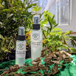 Chill Out!  No Bug Spray