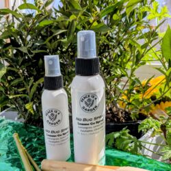 Lemme Go!  No Bug Spray